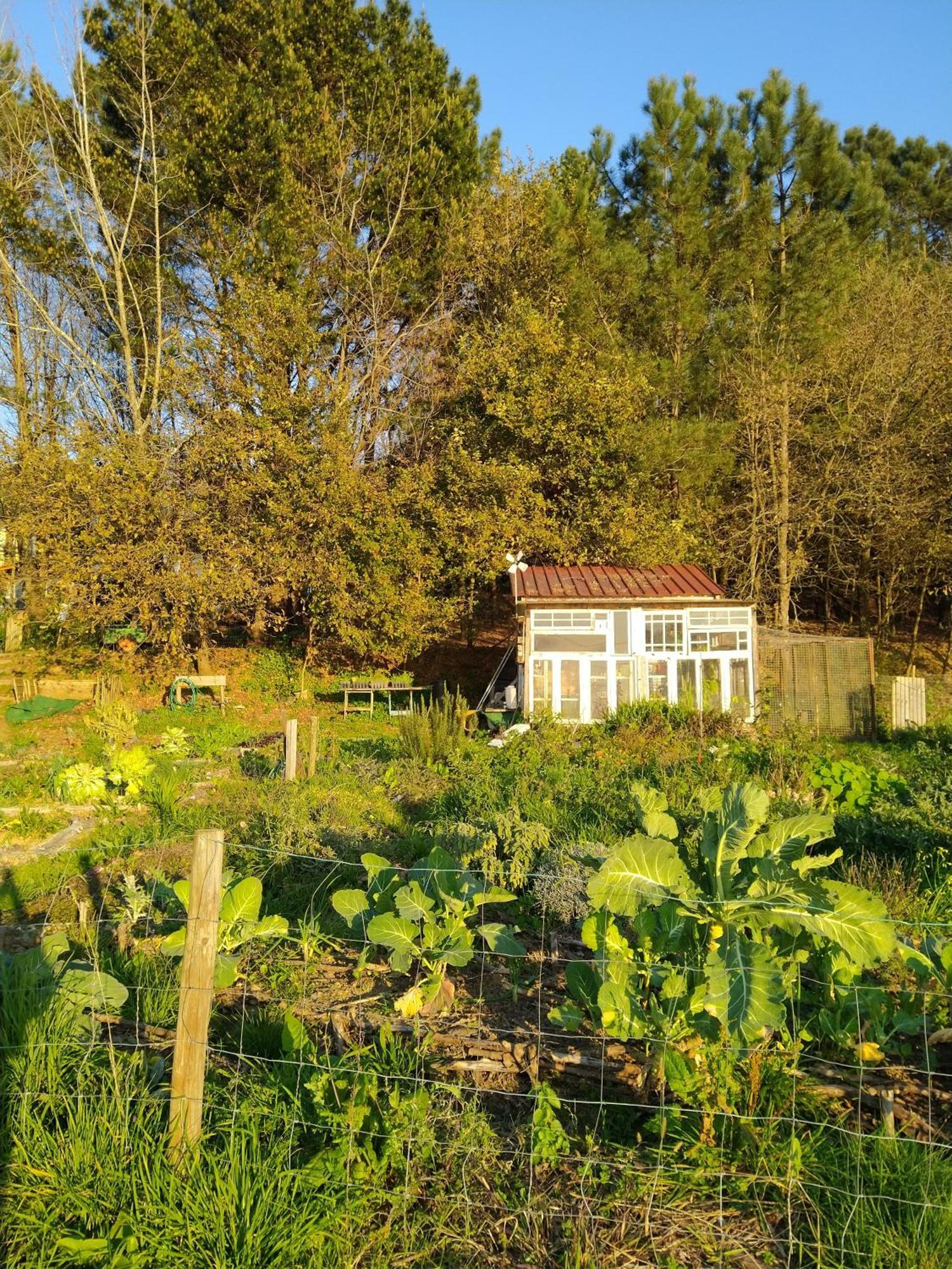 Associacao Quinta Das Relvas Branca Εξωτερικό φωτογραφία