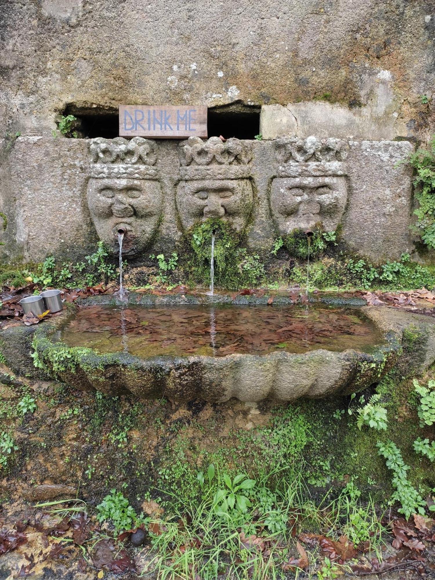 Associacao Quinta Das Relvas Branca Εξωτερικό φωτογραφία